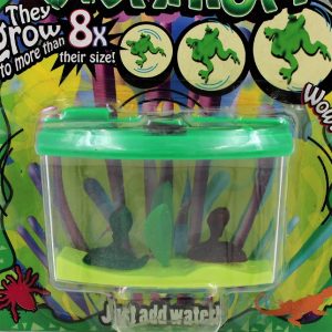 Mini acvariu verde Magic Vivarium serpi