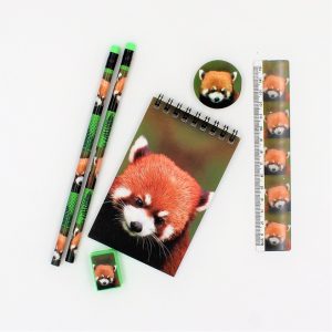 Set 6 rechizite Wild stationery Red panda